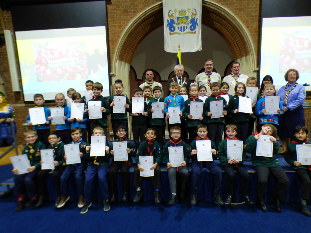 Medway Beavers Achieve Top Award