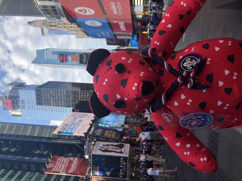 42c97fb3_5a0a_4edc_b264_56c4d7ff566d