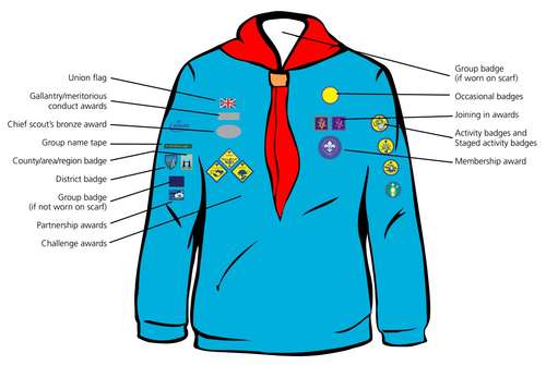 beaver_uniform_badges